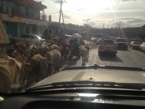 VDI Nairobi Africa