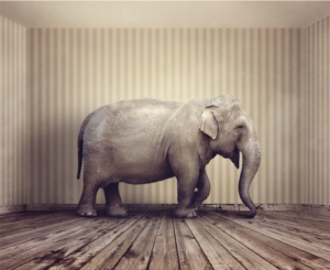 Elephant in the Room